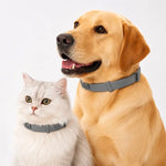 Adjustable Flea and Tick Collar