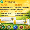 Calyvera Skin Smoothing Cream